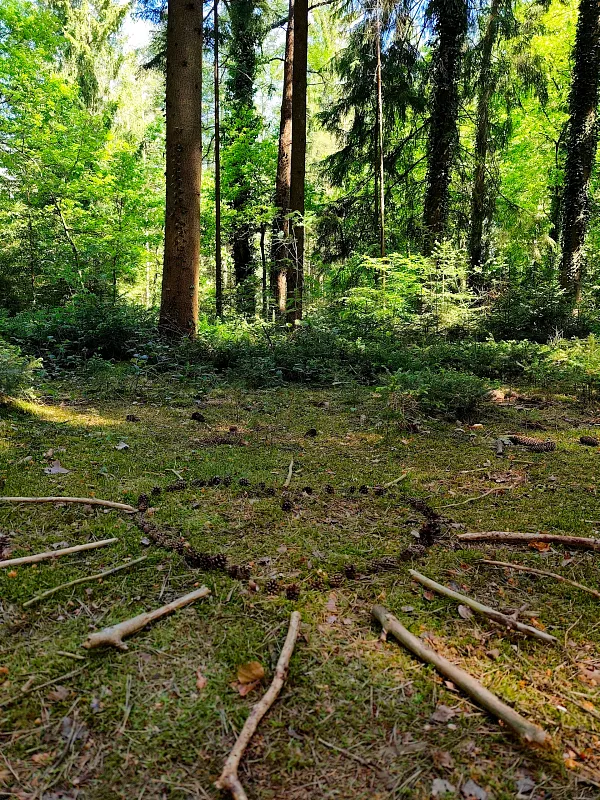 Bremen Pay: Frauenkreis im Wald