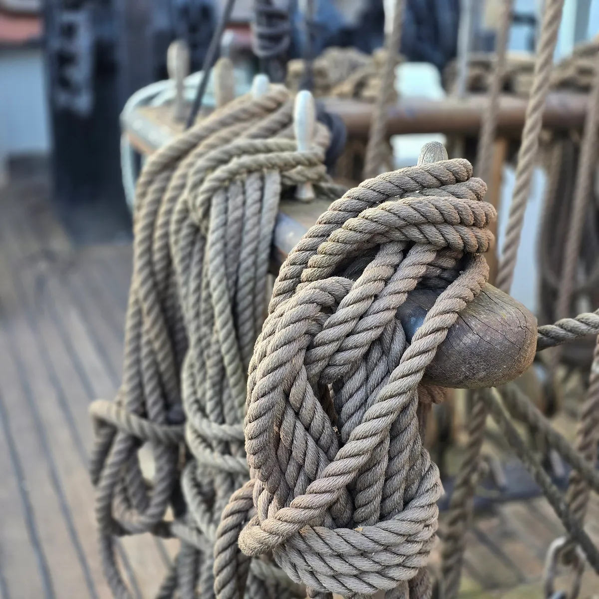 "Die Welt des Rums" auf der „Alexander von Humboldt“ (Bild 6)