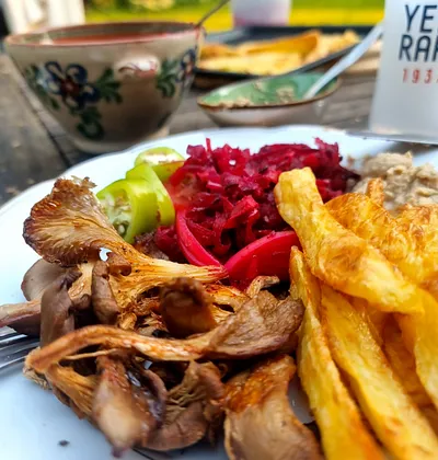 Kulinarisches Pilz(zucht)-Erlebnis (Thumbnail 2)