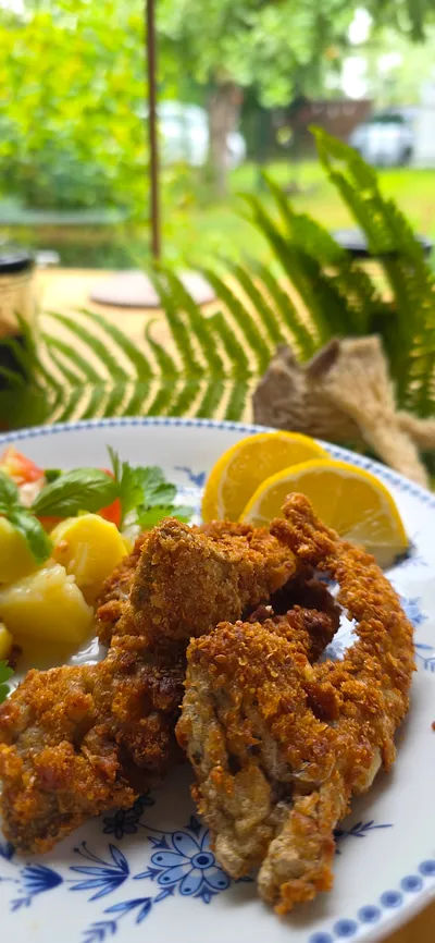 Kulinarisches Pilz(zucht)-Erlebnis (Thumbnail 3)