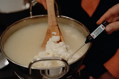 Mozzarella-Kurs mit Weinbegleitung - Ottensen/Hamburg (Thumbnail 6)