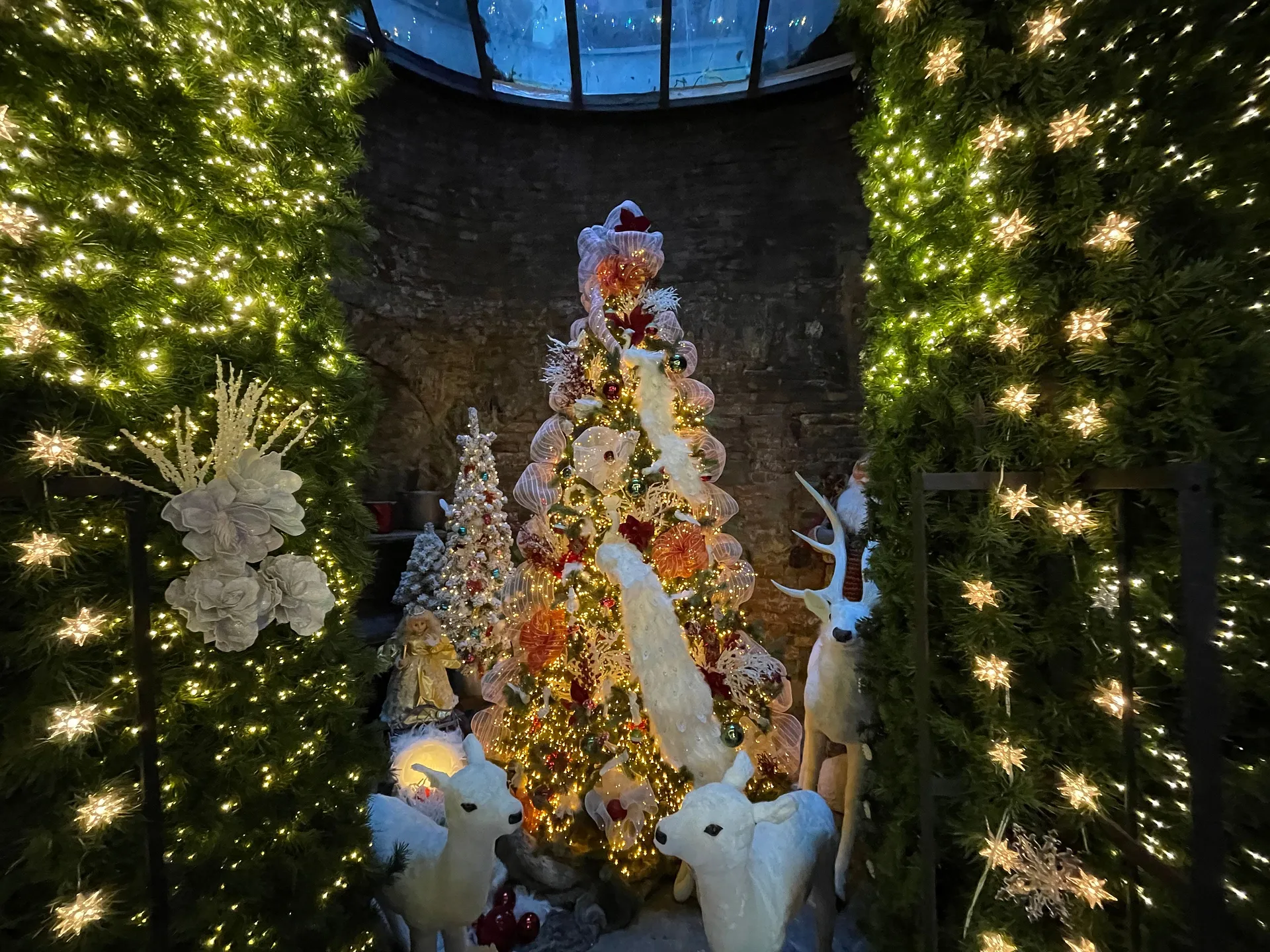 Bremer Weihnachtszauber - Weihnachtsführung durch die Altstadt (Gruppe) (Thumbnail 3)
