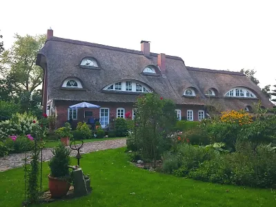 Achtsame Auszeit mit Pilates und Nature Sketching (Thumbnail 2)