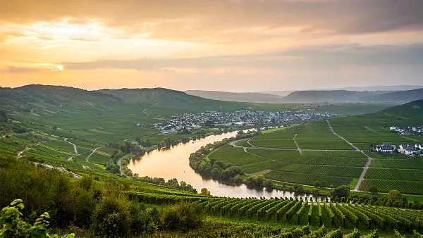 Deutschlandreise im Weinlager Krohnskamp