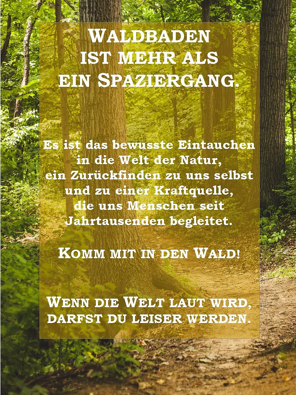 Waldbaden auf besondere Art (Titelbild)