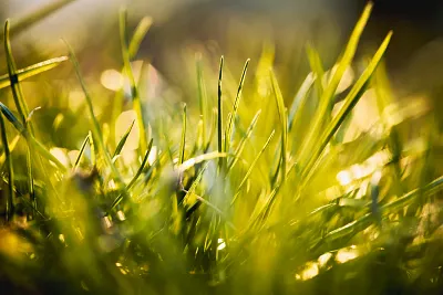 Haiku & ICM Fotografie – Kreative Wege zur abstrakten Bildgestaltung (Thumbnail 3)