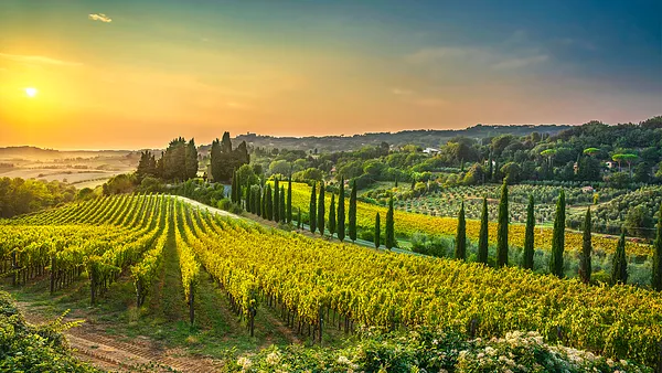Weintasting: Lugana Revue im Weinlager Schwachhausen