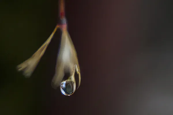 Haiku & ICM Fotografie – Kreative Wege zur abstrakten Bildgestaltung (Bild 9)