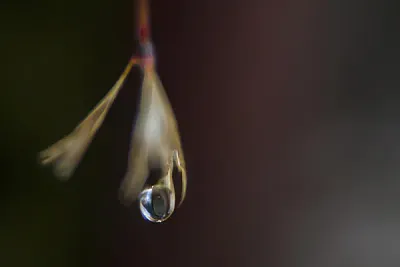 Haiku & ICM Fotografie – Kreative Wege zur abstrakten Bildgestaltung (Thumbnail 8)