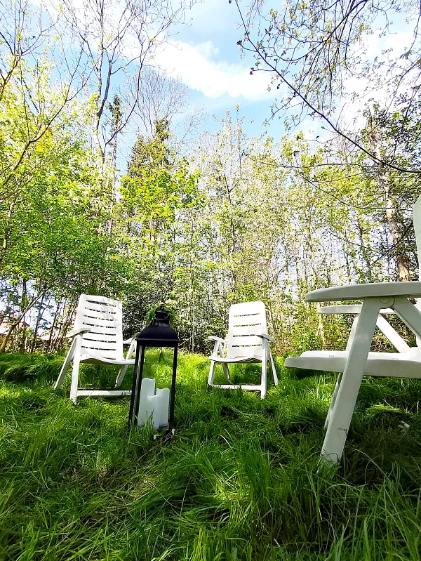 Frauenkreis im Wald