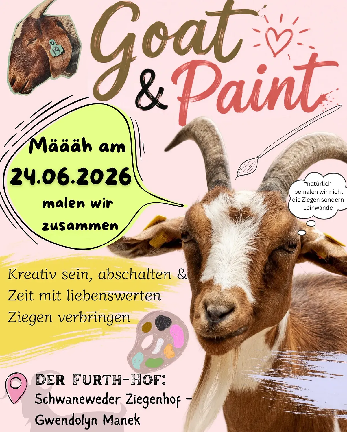 Goat and Paint (Bild 2)