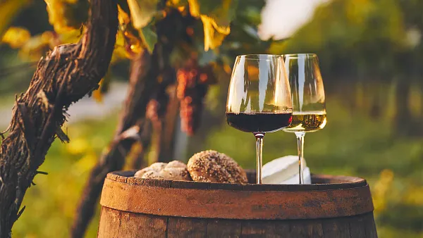 Weintasting: Internationale Weinklassiker im Weinlager Hannover