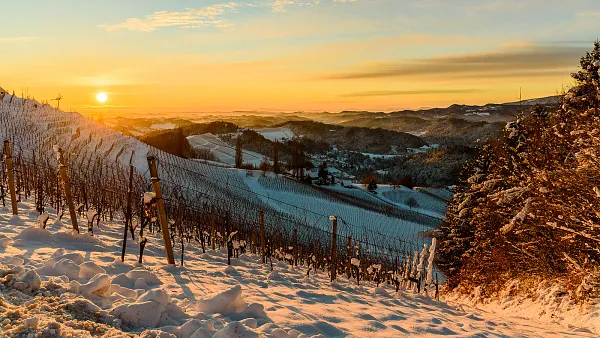 Weintasting: Winterweine im Weinlager Hannover