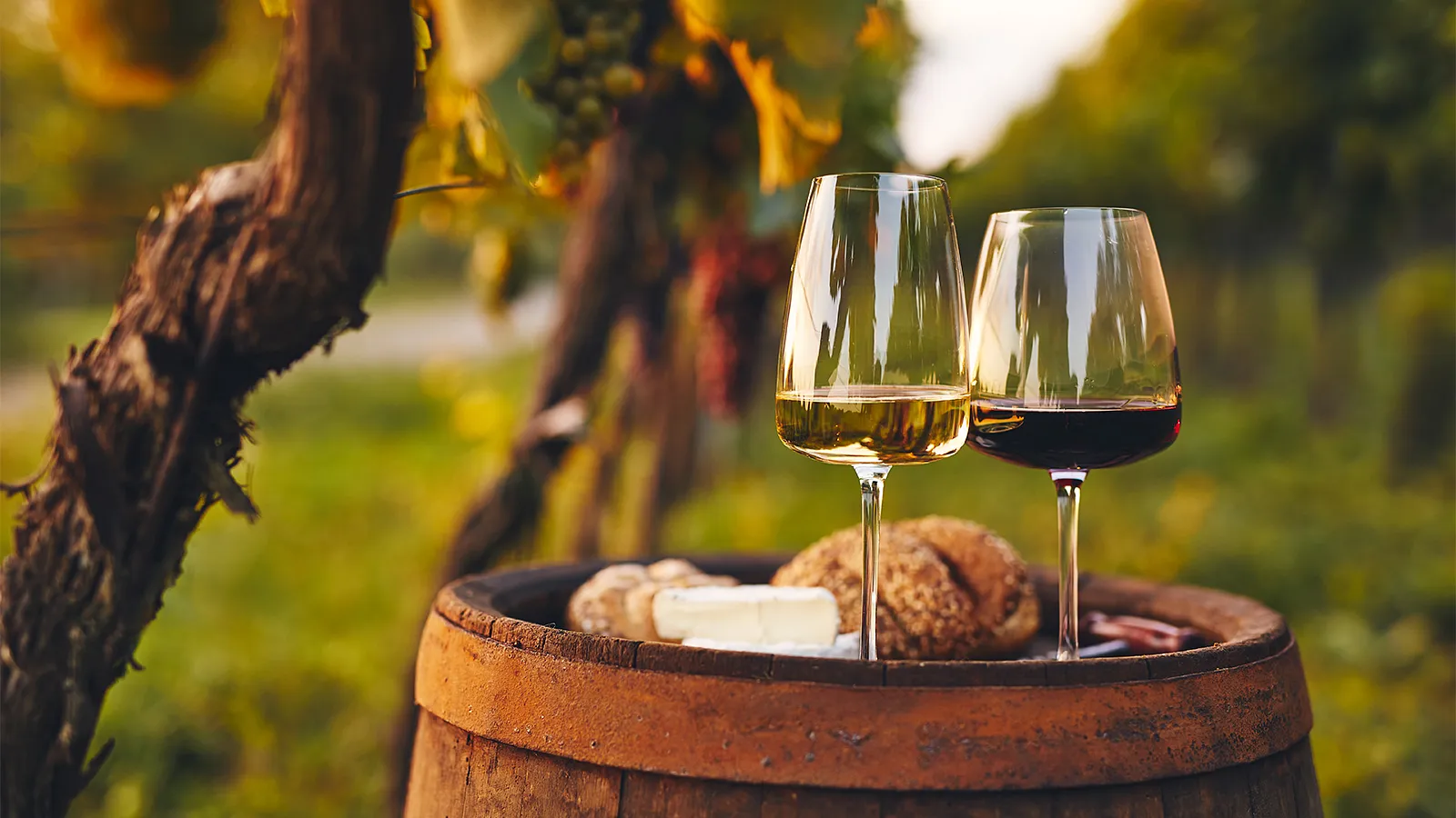 Weintasting: Cab around the World im Weinlager Speicher 1
