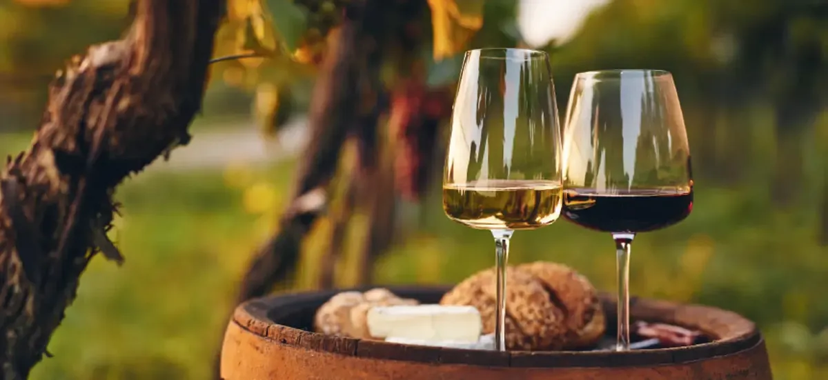 Weintasting: Viva Iberica - Das Beste aus Spanien & Portugal in Stade (Titelbild)