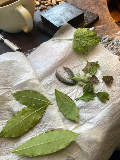 Silber trifft Natur - DIY Schmuck Workshop (Thumbnail 5)