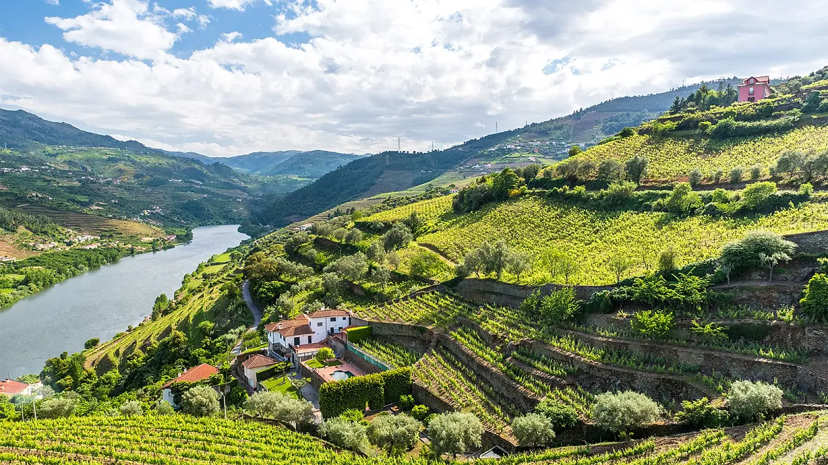 Weintasting: Europäische Weinklassiker im Weinlager Hannover