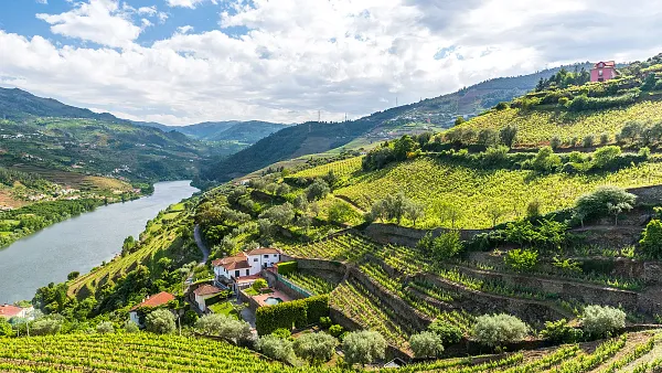 Weintasting: Europäische Weinklassiker im Weinlager Hannover