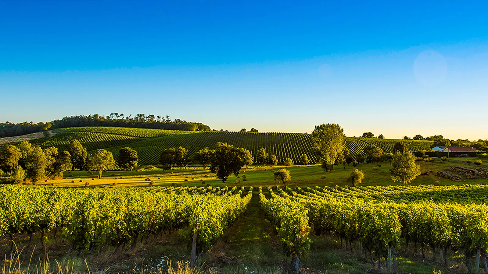 Frankreich Rundreise im Weinlager Krohnskamp