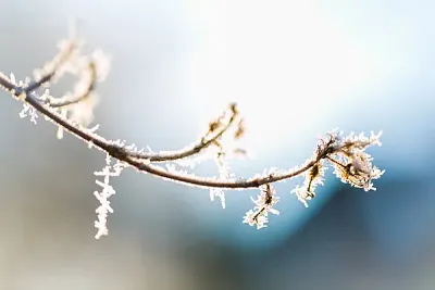 Haiku & ICM Fotografie – Kreative Wege zur abstrakten Bildgestaltung (Thumbnail 9)