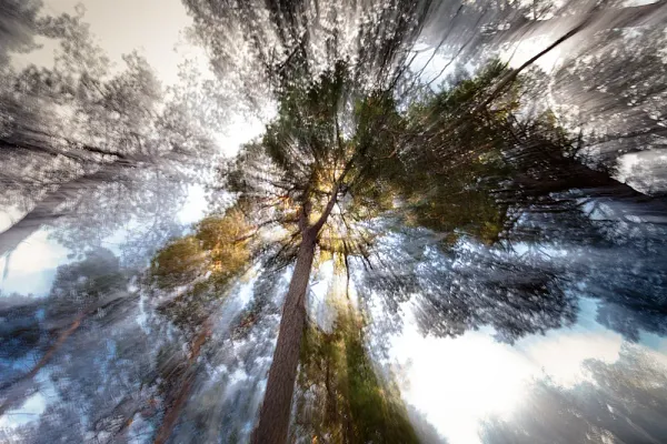 Haiku & ICM Fotografie – Kreative Wege zur abstrakten Bildgestaltung